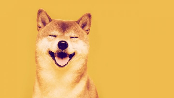 Las criptomonedas que podrían sustituir a Shiba Inu en 2022
