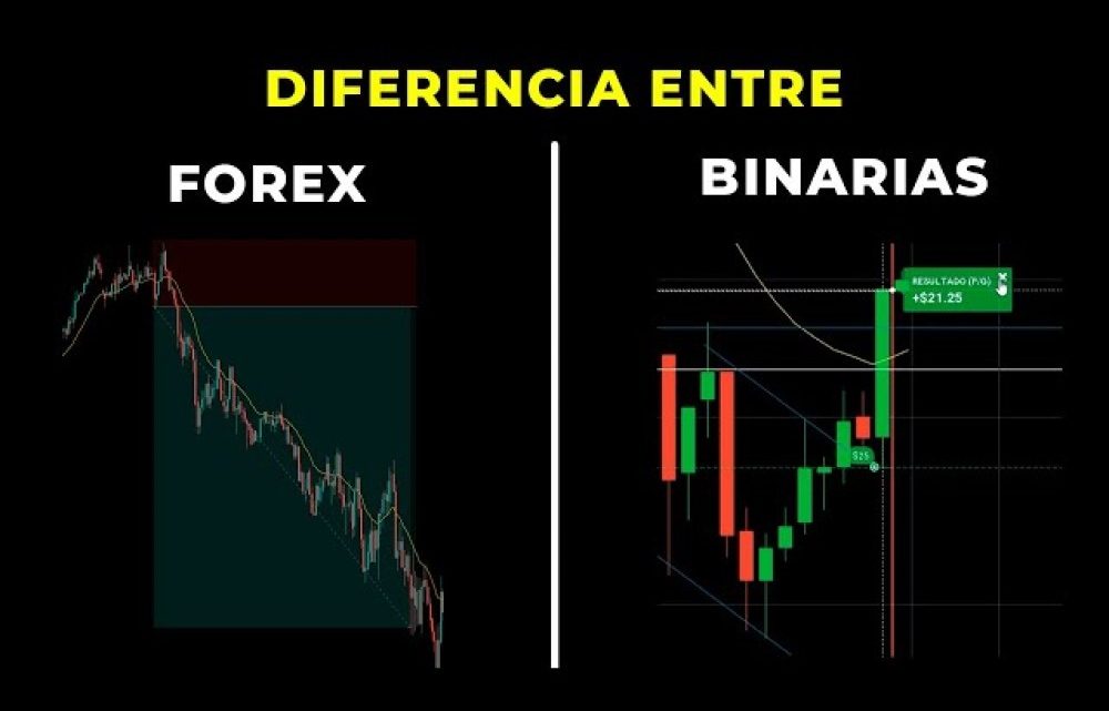Forex vs Opciones Binarias: La guía definitiva para entender dónde poner tu dinero (y no perder la cabeza) Forex vs Opciones Binarias: La guía definitiva para entender dónde poner tu dinero (y no perder la cabeza)